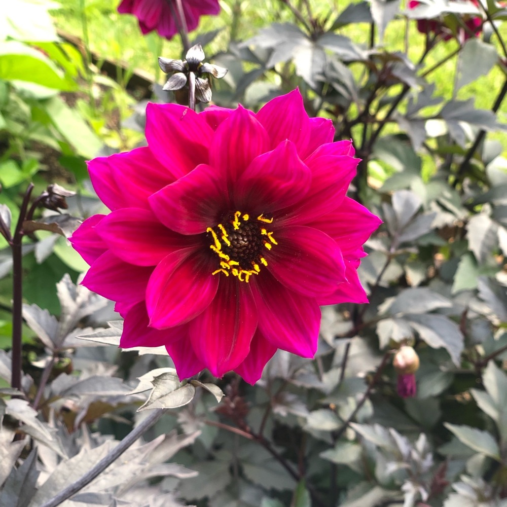 Meet your Posher, Jerilyn